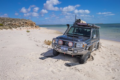 ARB Tred Pro