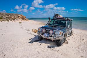 Safari Snorkels